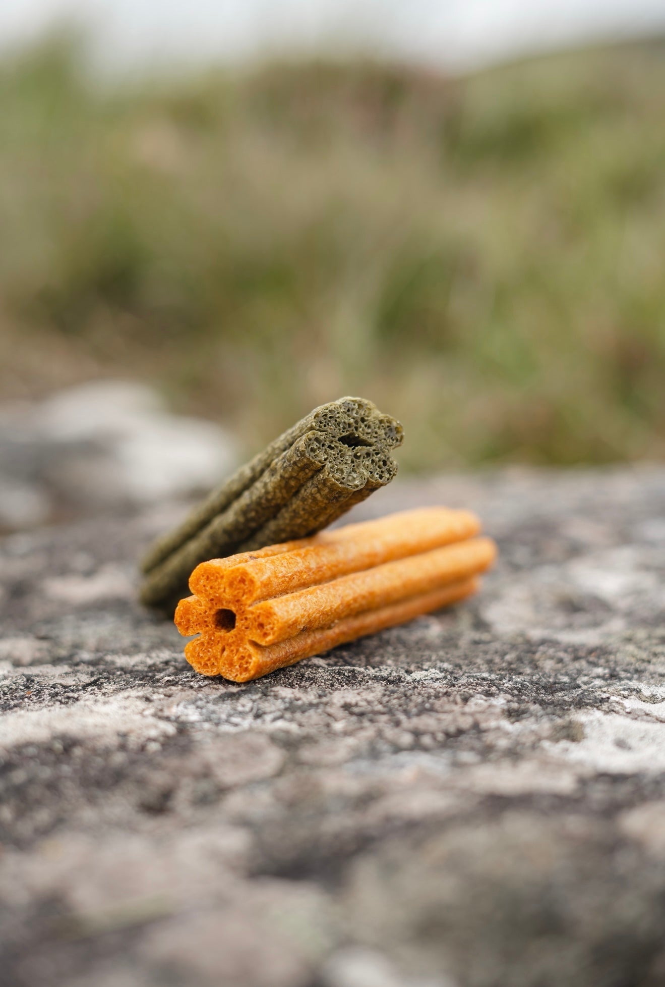 10 Veggie Loofa Dental Chews - Tenner Tuesday