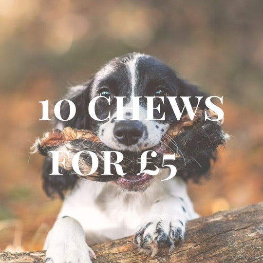 10 Chews For £5 - Fiver Friday Deal - Bodhi & The Birchtree