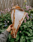 Giant Beef Shoulder With Moon Bone - Bodhi & The Birchtree