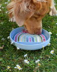 Rainbow Enrichment Bowl Leaden - Bodhi & The Birchtree