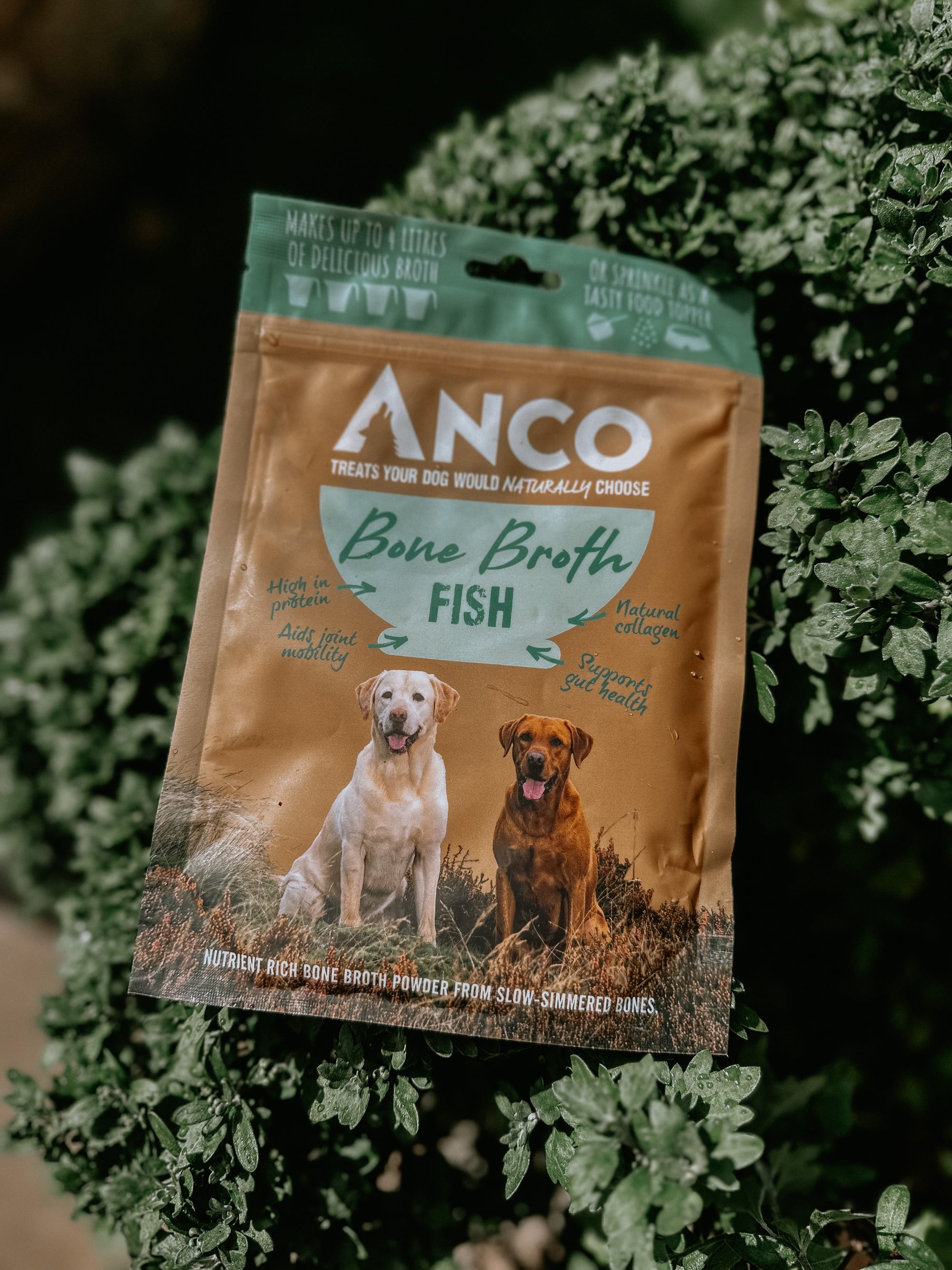 Anco Fish Bone Broth 120g - Bodhi & The Birchtree