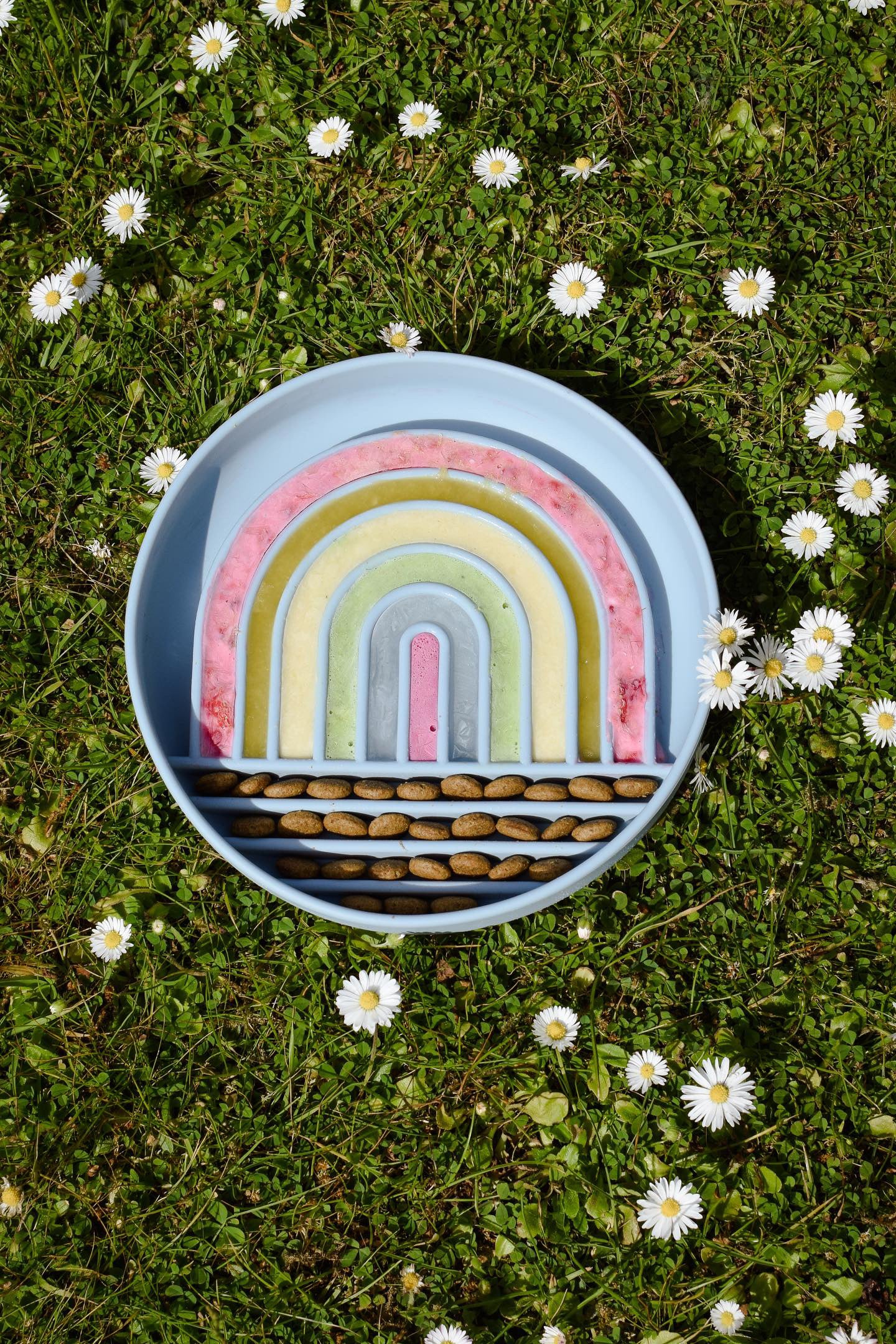 Rainbow Enrichment Bowl Leaden - Bodhi & The Birchtree