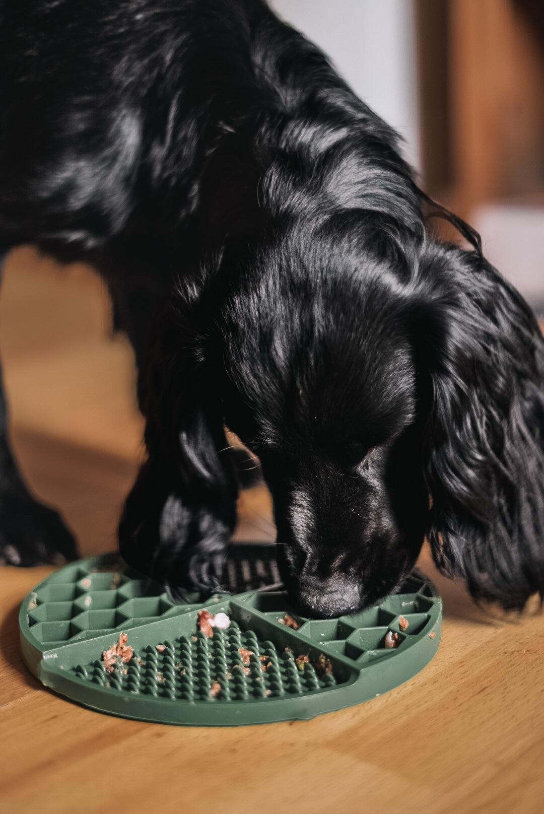 Honeycomb Lick Mat Sea Green - Bodhi & The Birchtree