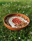 Rainbow Enrichment Bowl Terracotta - Bodhi & The Birchtree