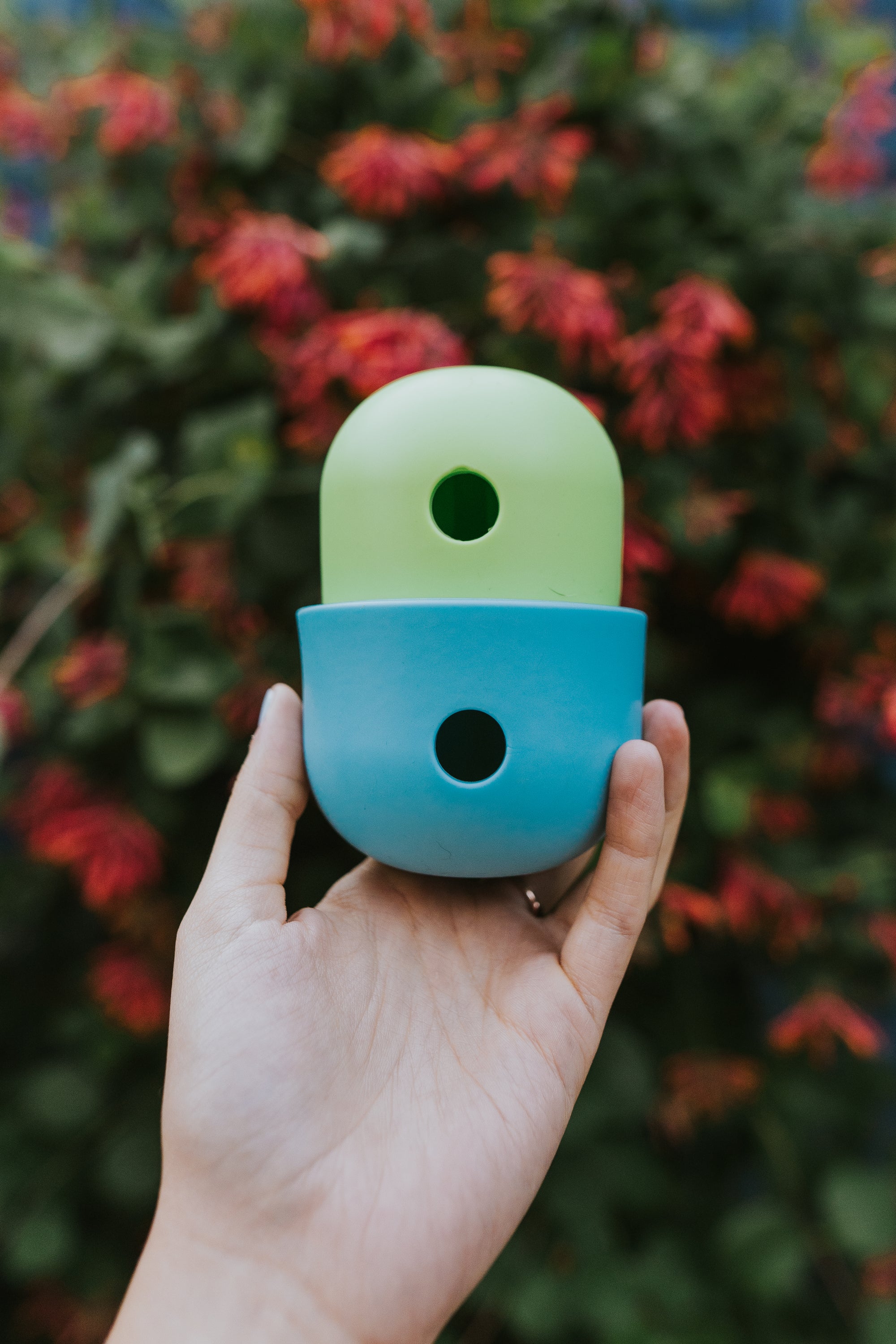 Food Dispenser &amp; Slow Feeder Blue &amp; Green - Bodhi &amp; The Birchtree
