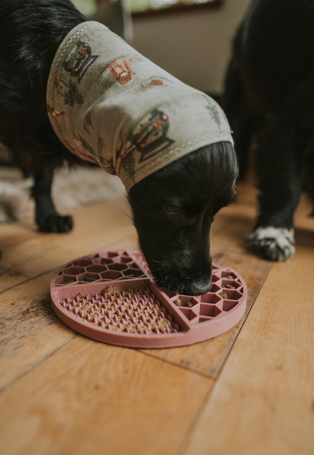 Honeycomb Lick Mat Old Rose - Bodhi & The Birchtree