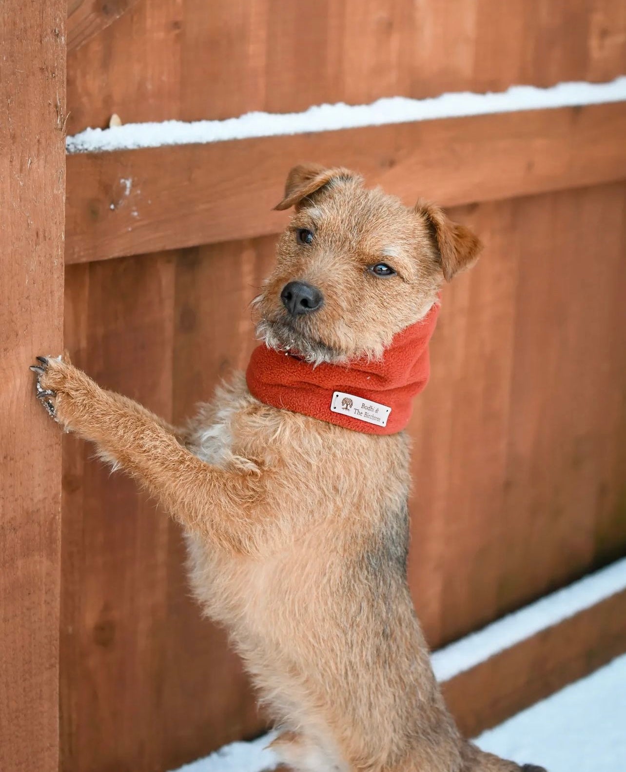 Bodhi & The Birchtree Burnt Orange Fleece Snood - Bodhi & The Birchtree