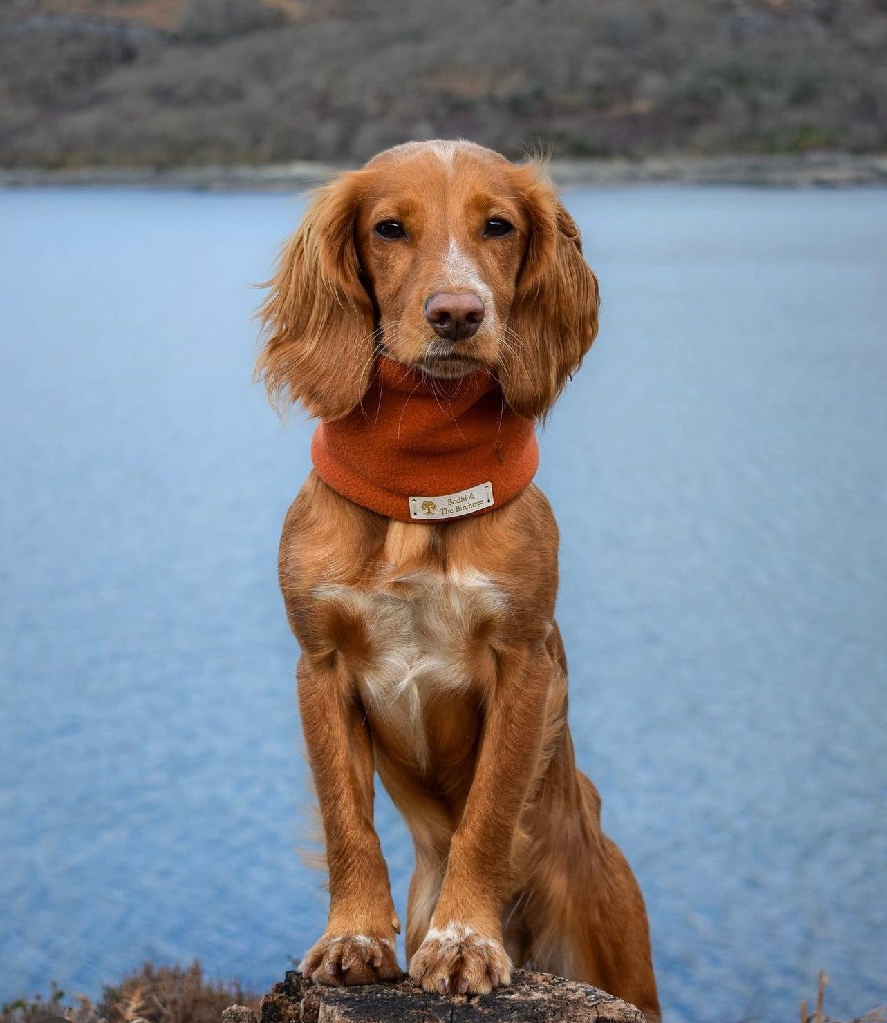 Bodhi & The Birchtree Burnt Orange Fleece Snood - Bodhi & The Birchtree