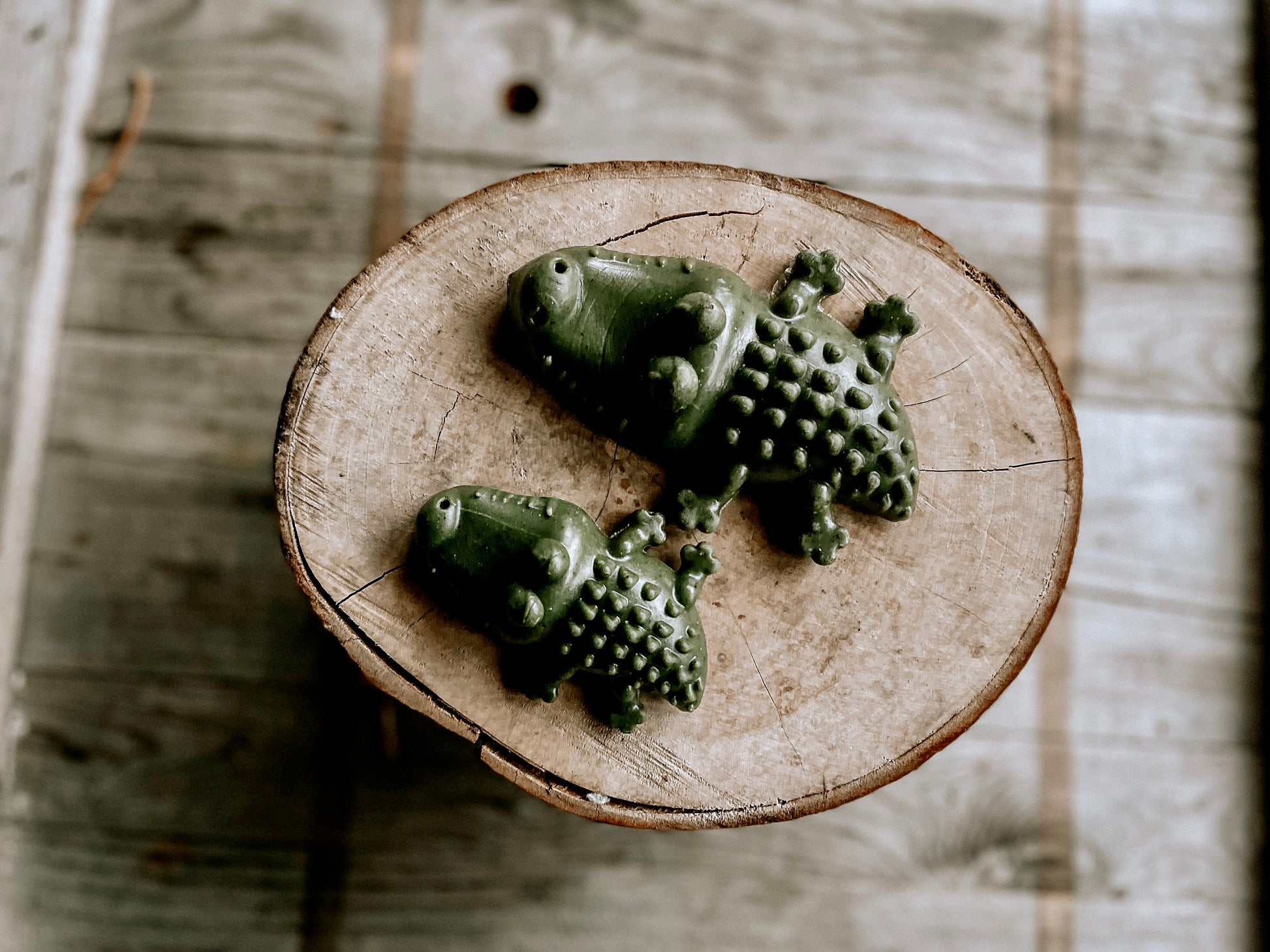 Dental Croc Chew Medium - Bodhi & The Birchtree