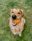 Orange/yellow Woollen Eco Tennis Ball - Bodhi & The Birchtree