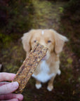 Bag of 5 100% Pure Meat Strips - Bodhi & The Birchtree