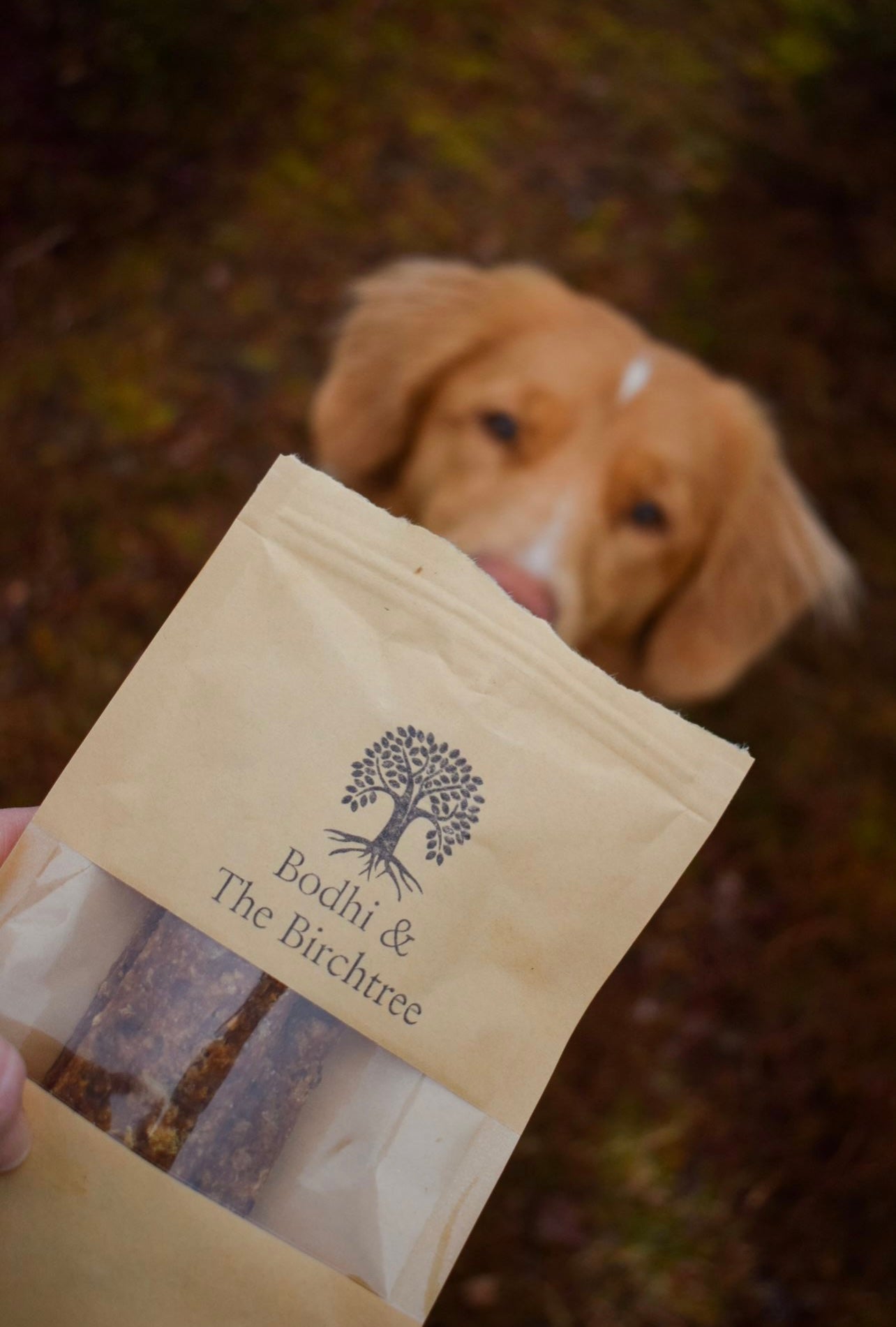 Bag of 5 100% Pure Meat Strips - Bodhi & The Birchtree