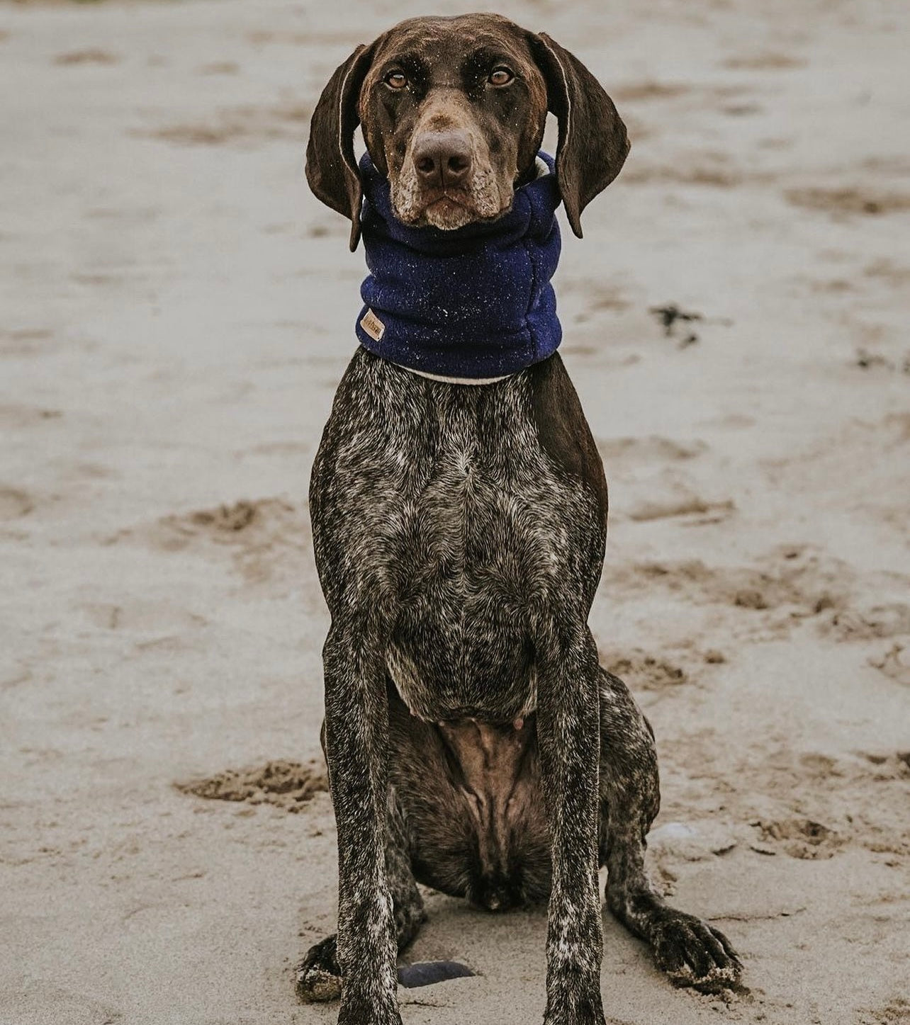 Bodhi & The Birchtree Navy Polar Fleece Snood - Bodhi & The Birchtree