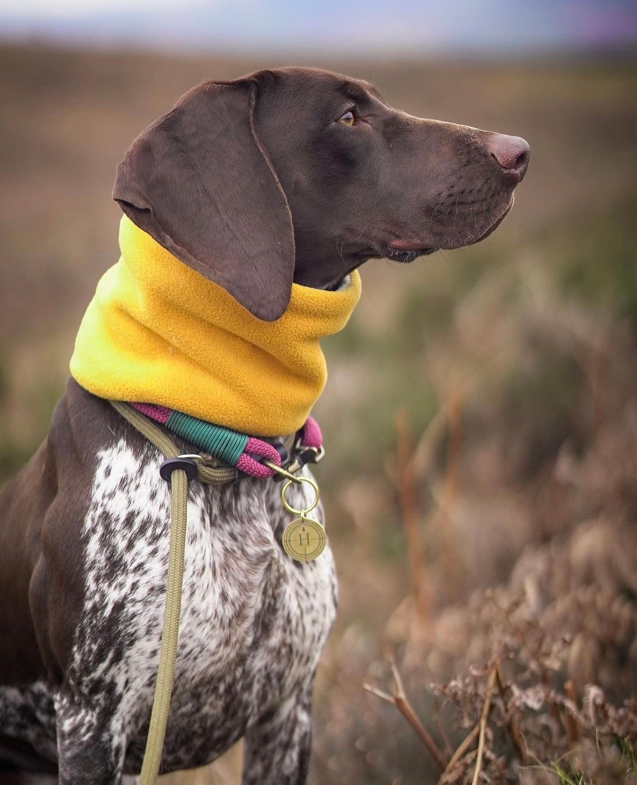 Bodhi & The Birchtree Mustard Fleece Snood - Bodhi & The Birchtree