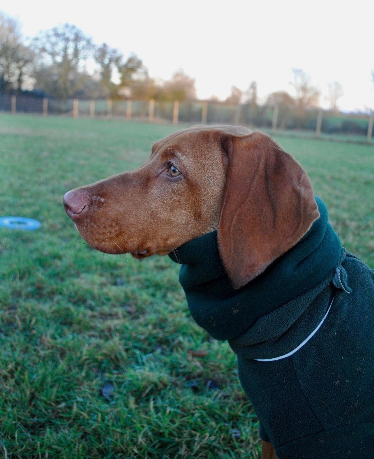 Bodhi & The Birchtree Fir Green Fleece Snood - Bodhi & The Birchtree