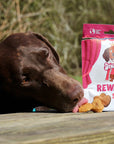 Denzel’s Salmon & Cranberry Love Heart Rewards - Bodhi & The Birchtree