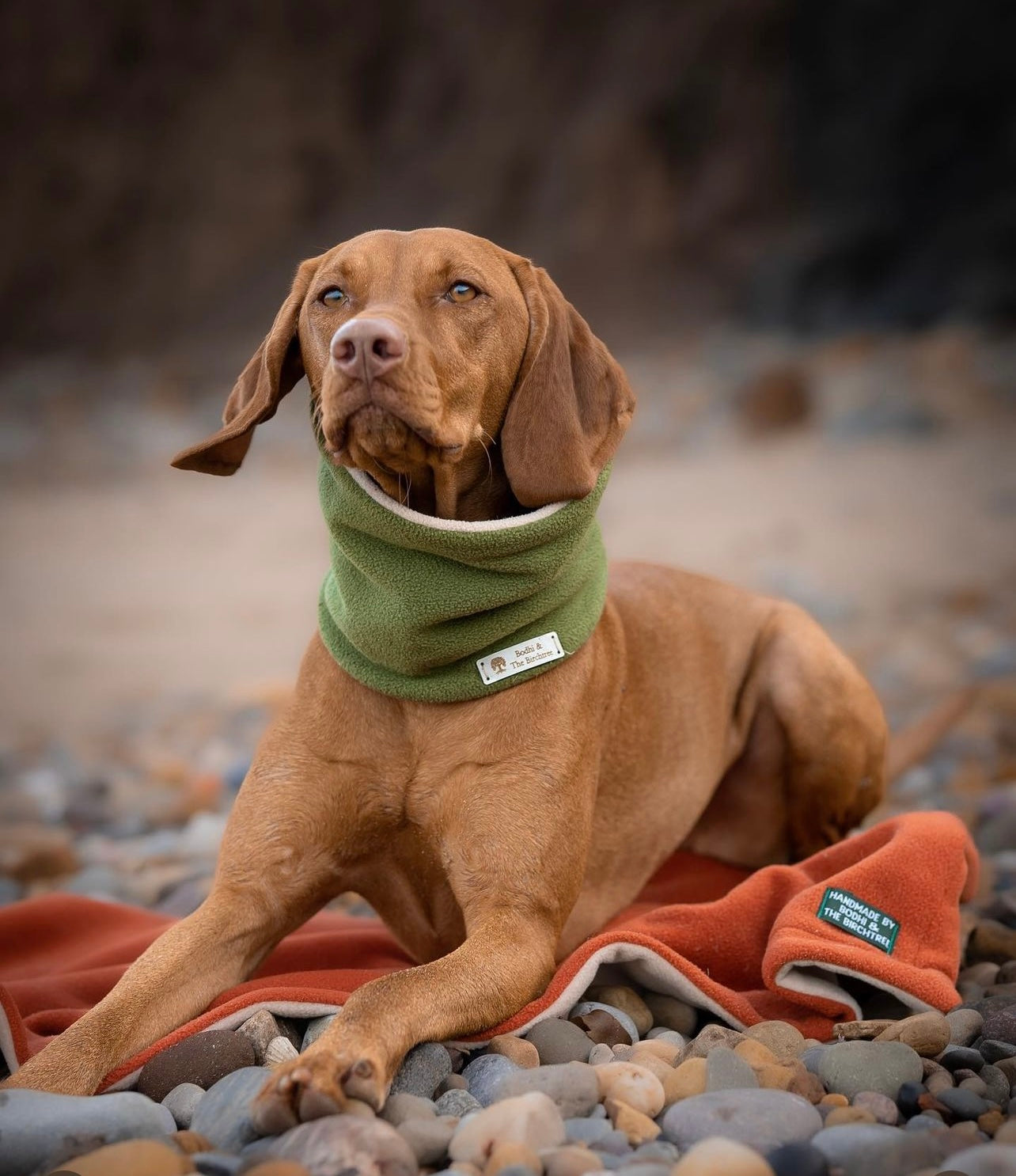 Bodhi & The Birchtree Burnt Orange Fleece Blanket - Bodhi & The Birchtree