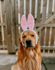 Easter Competition Bunny Ears - Bodhi & The Birchtree