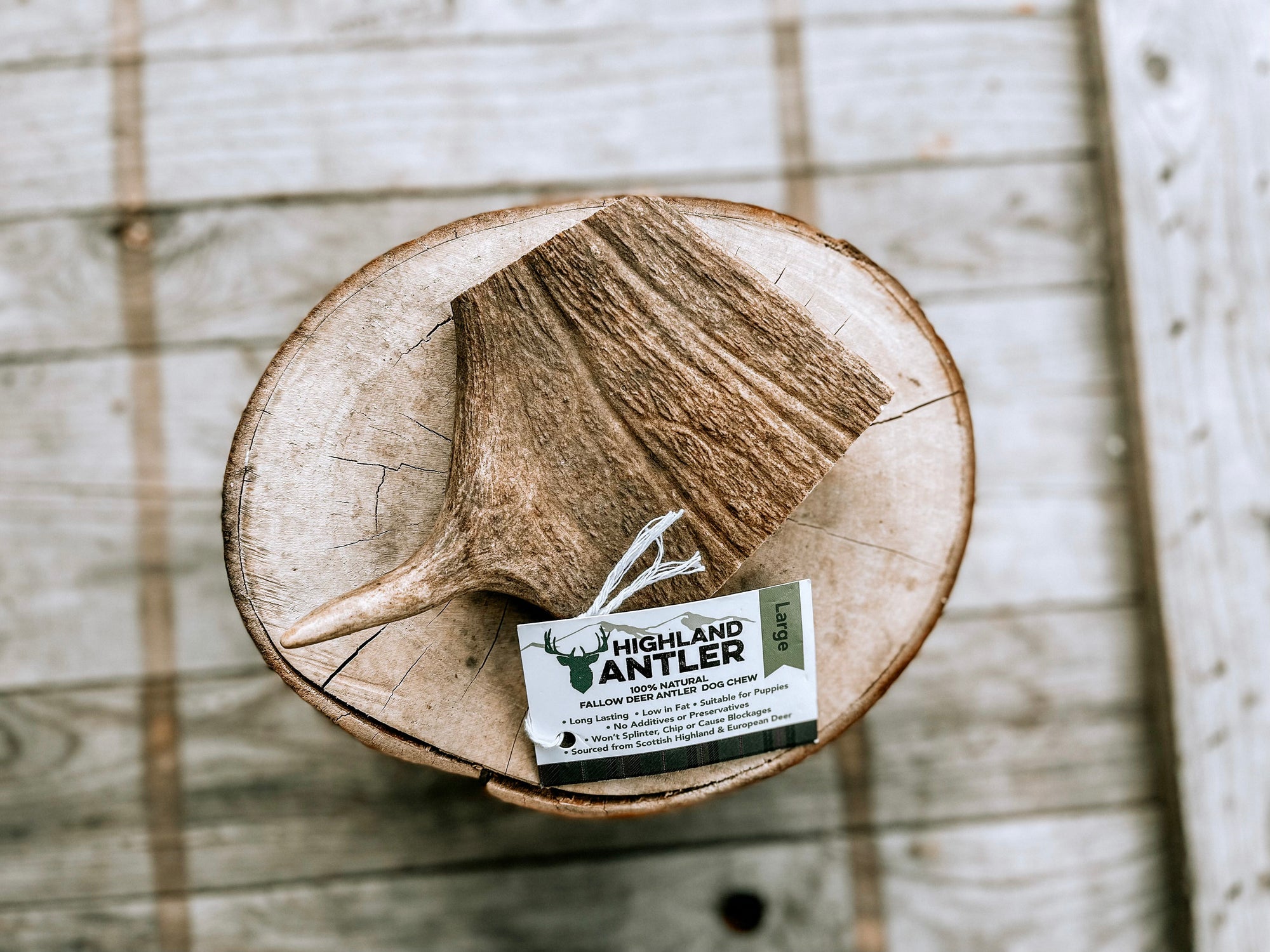 Fallow Deer Antler - Bodhi &amp; The Birchtree