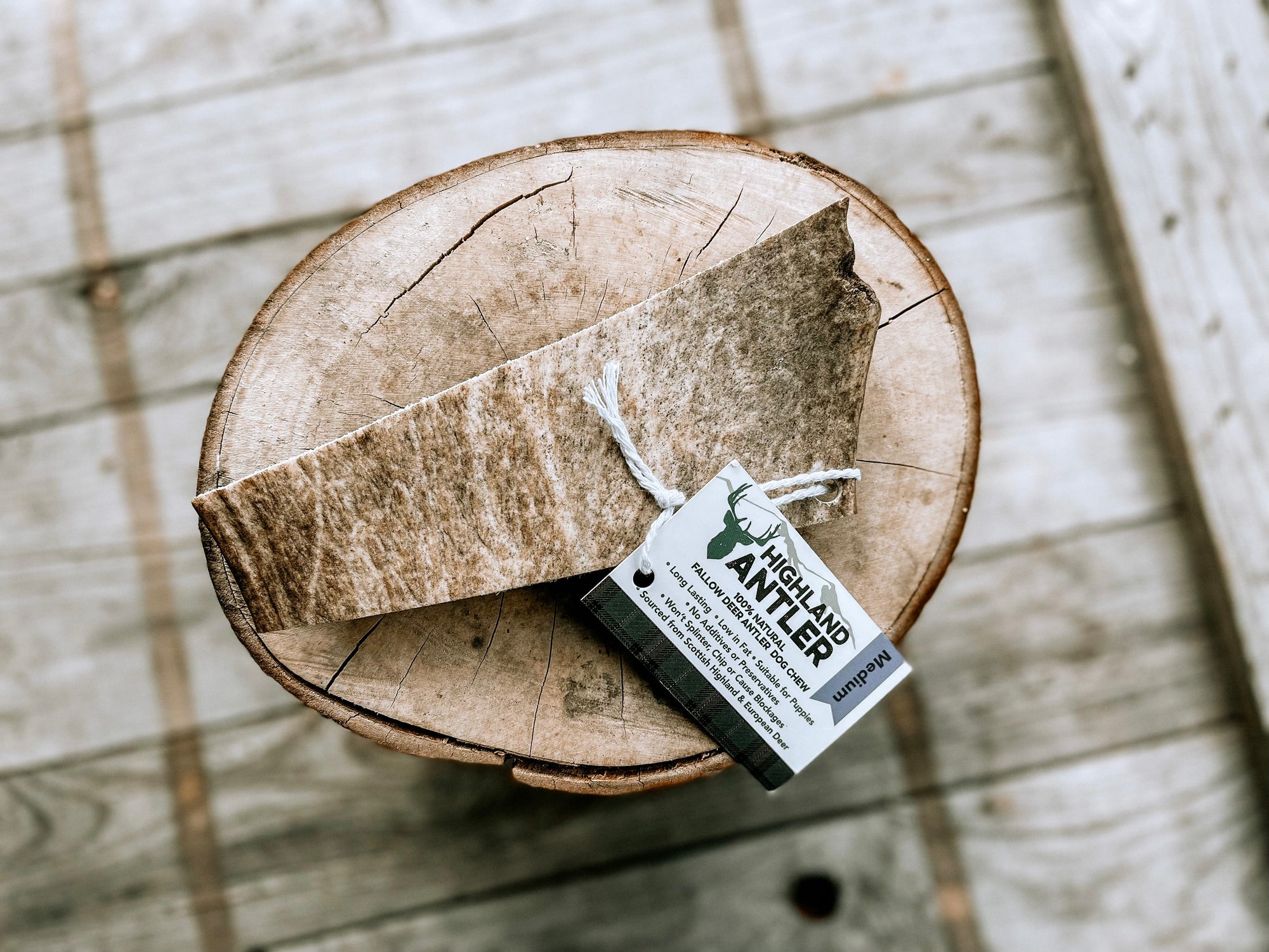 Fallow Deer Antler - Bodhi &amp; The Birchtree